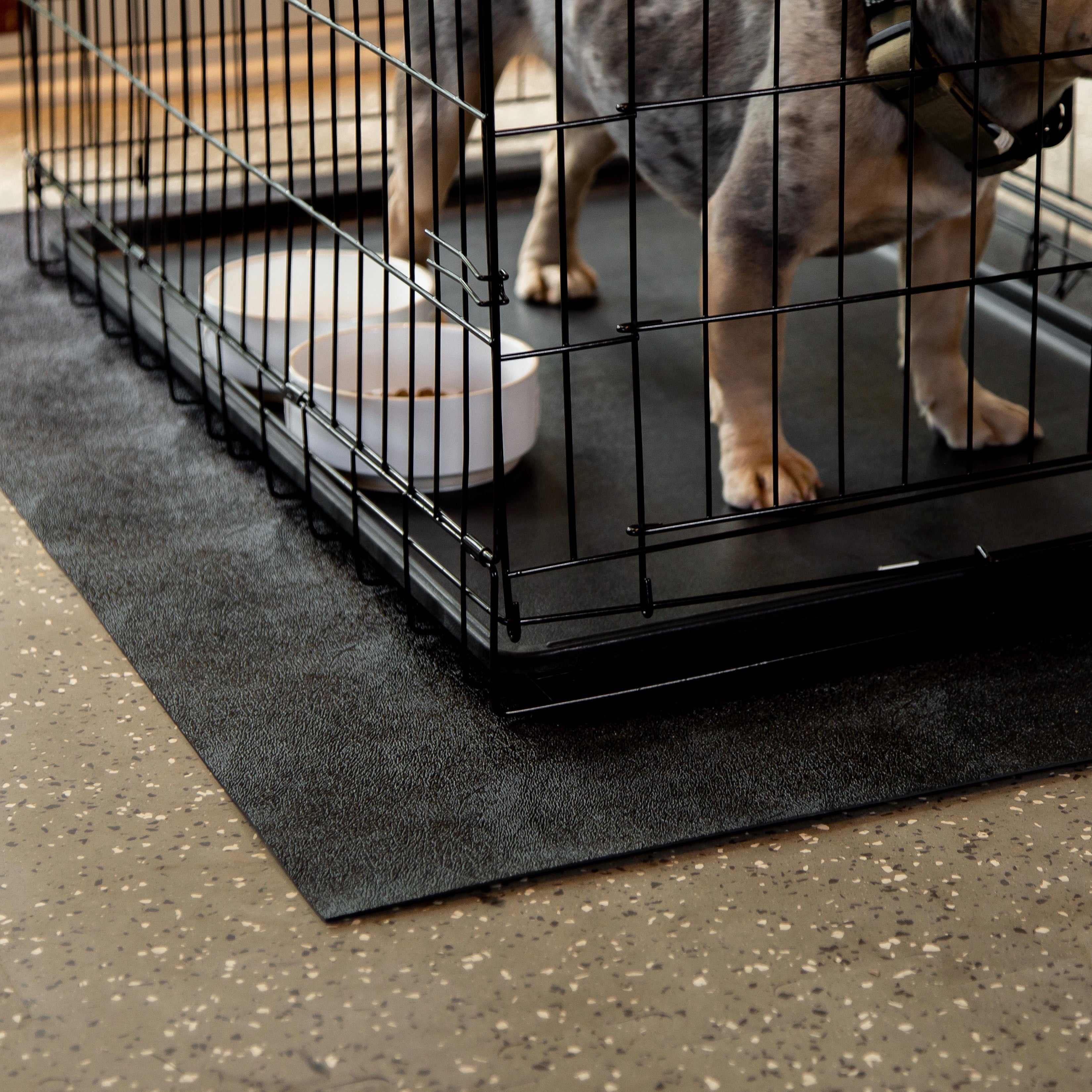 Beautiful view of Hardfloor Dog Crate Mat
