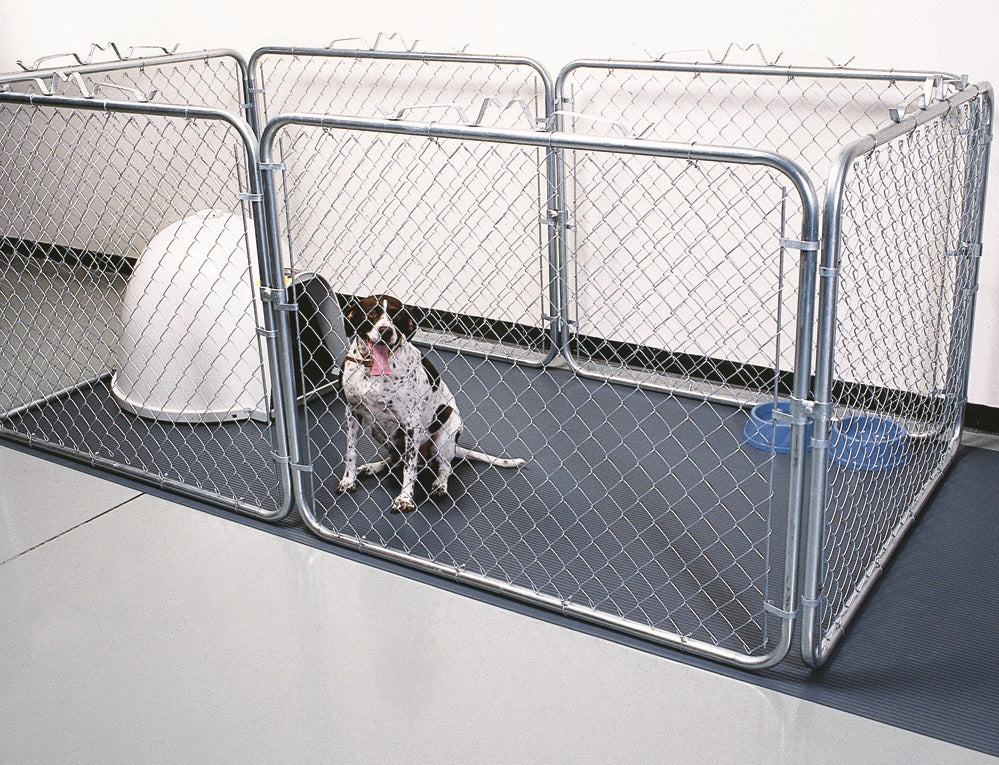 The Purrrfect Flooring for Your Four-Legged Friends