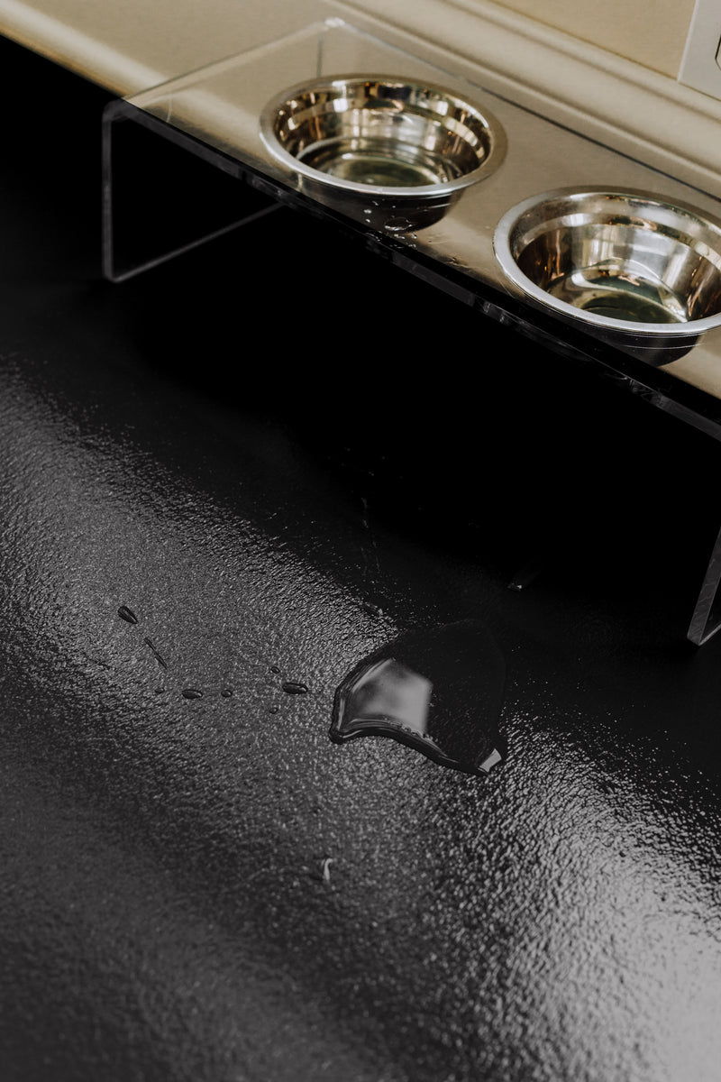 Dog bowls and water puddle on Midnight Black Ceramic texture vinyl flooring