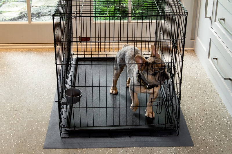 Dog in kennel on Slate Grey Levant texture vinyl flooring