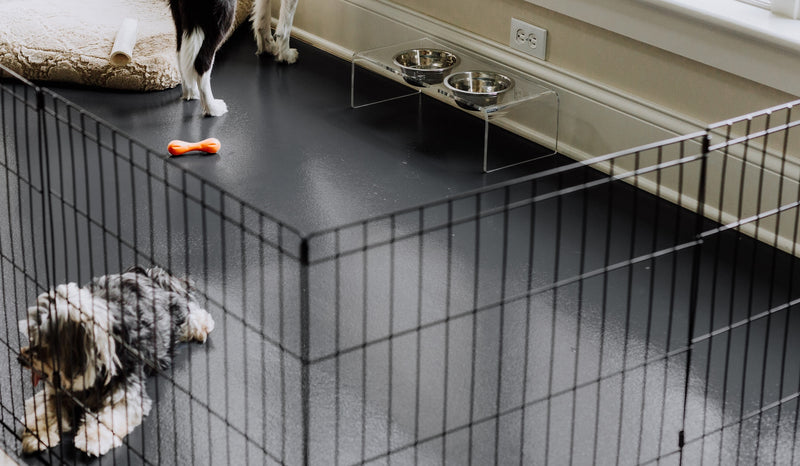 Dogs inside play pen on top of Slate Grey Ceramic texture vinyl pet flooring