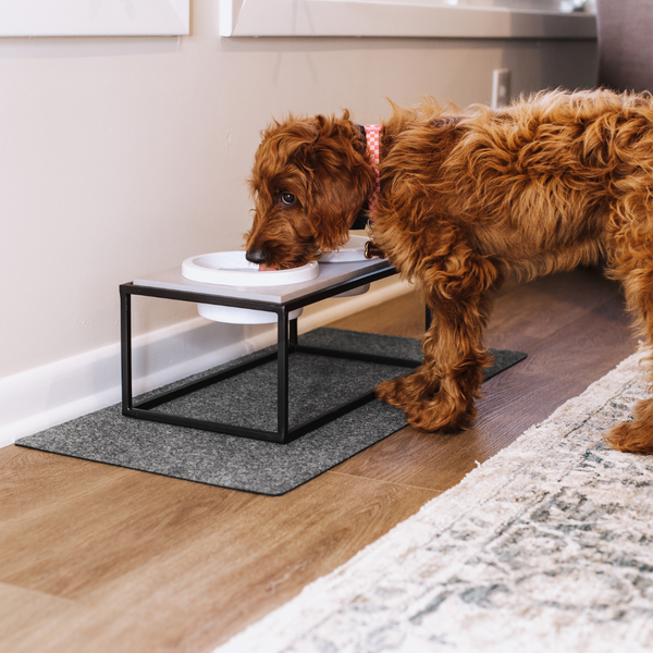 G-Floor Drip & Dry Pet Bowl Mat