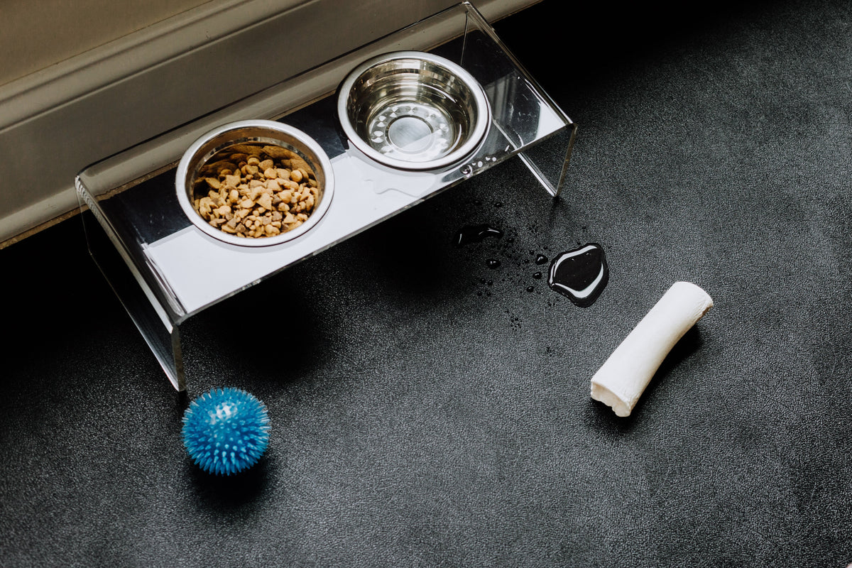 Pet Flooring by Space: What to Put Under Crates, Bowls, Litter Boxes & Play Areas