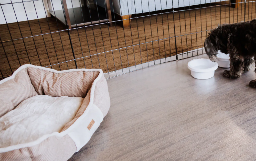 G-Floor® for Pets - Protective Floor Covering