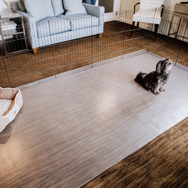 Dog on clear vinyl floor protector