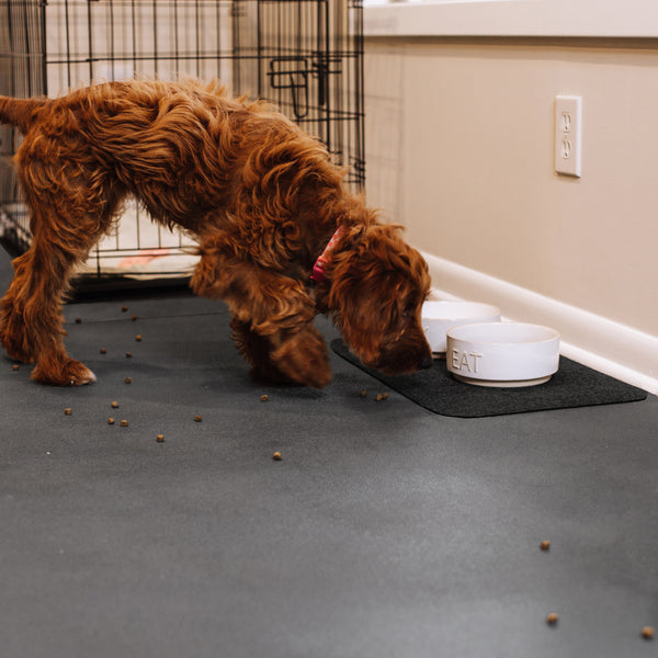 G-Floor® New Pet Parent Kit