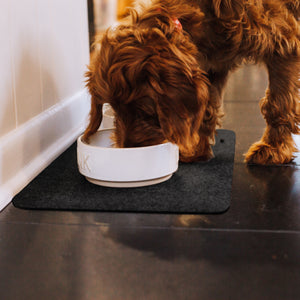 Dog eating from bowl on top of Grey Drip & Dry pet bowl mat