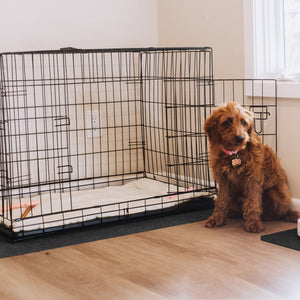 Dog and kennel on top of Grey Drip & Dry pet kennel mat