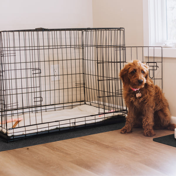Dog and kennel on top of Grey Drip & Dry pet kennel mat