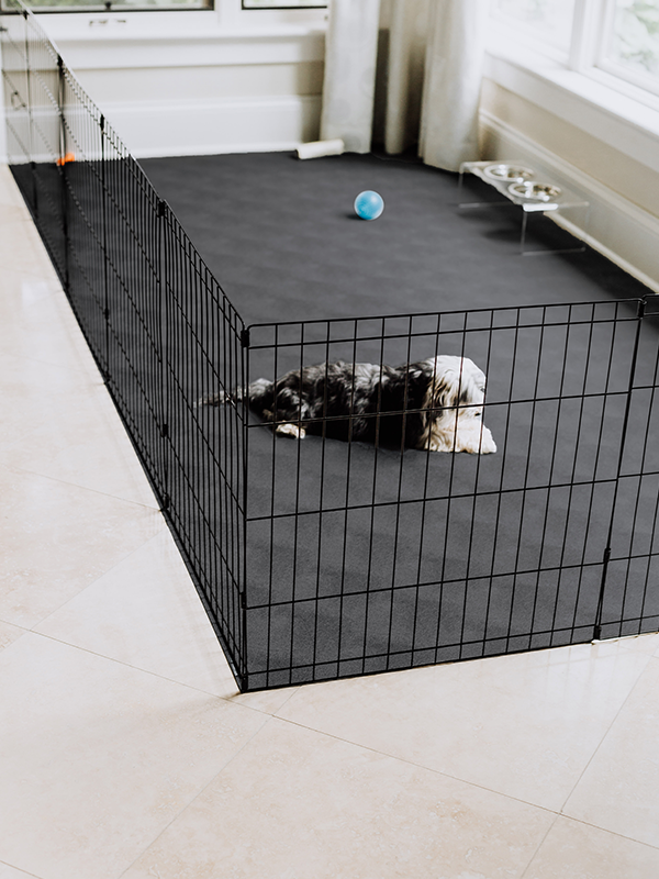 G-Floor<sup>®</sup> for Pets - Levant Protective Floor Covering