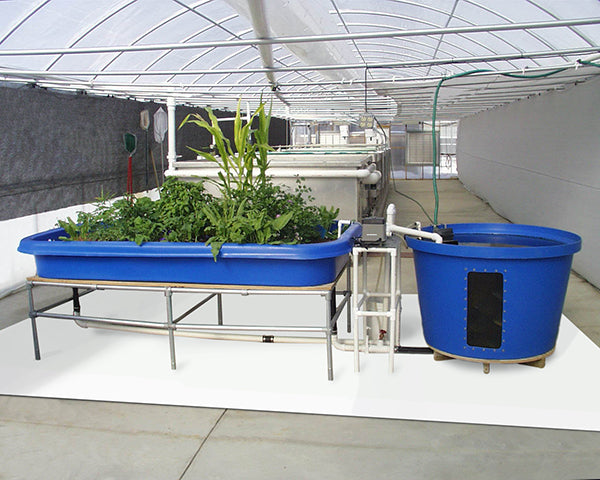 hydroponic growing example with growfloor white vinyl flooring