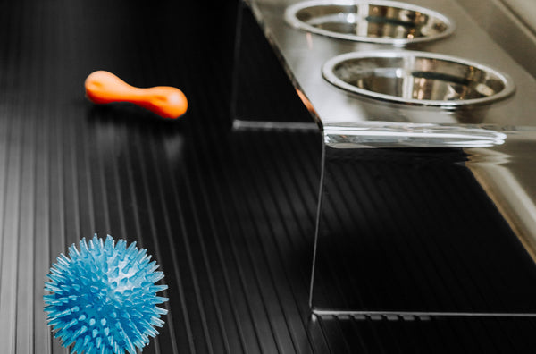 Dog bowls and toys on Midnight Black ribbed texture vinyl pet flooring