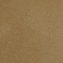 Sandstone Levant texture swatch