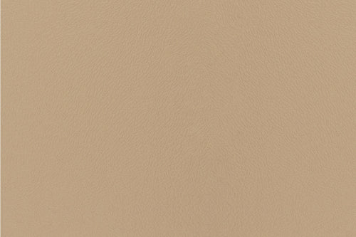 Solid Buckskin pattern swatch